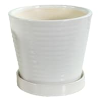 Indoor White Ceramic Ring Pot, Small