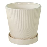 Indoor Tonal Rainbow Cream Pot, Small