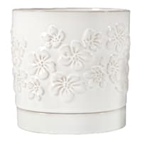 Indoor Dahlia White Pot, Medium
