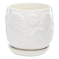 Indoor White Daisy Pot, Medium
