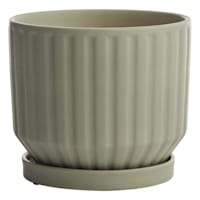 Indoor Grey Wash Ceramic Pot, Medium