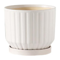Indoor White Mat Ceramic Pot, Small