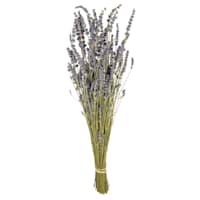 40-Pack 1oz Lavender Bouquets with Display