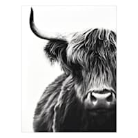 Bull Block, 6x8