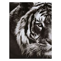 Tiger Block, 6x8