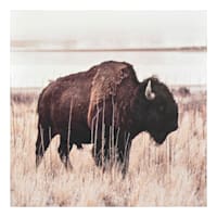 Bison Block, 8"