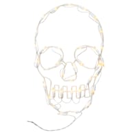 LED Plastic Frame Skull, 10x16