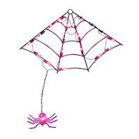 LED Plastic Frame Spider Web