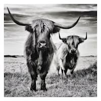 Highland Cows Canvas Wall Art, 24"