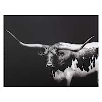 Long Horn Canvas Wall Art, 40x30