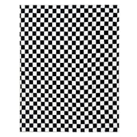 Black & White Checkered Micro Plush Throw Blanket, 50x60