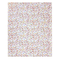 Oh Joy! Confetti Printed Micro Plush Throw Blanket, 50x60