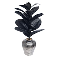 Rubber Plant in Metallic Pot, 23"