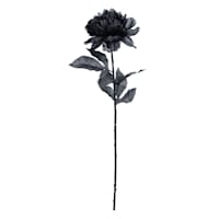 Spellbound Peony Stem, 27"