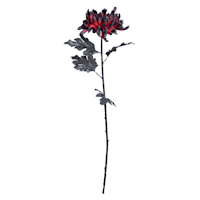 Spellbound Red Mum Floral Stem, 27"
