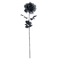 Spellbound Black Rose Floral Stem, 28"