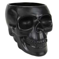 Spellbound Black Skull Ceramic Planter, 9"