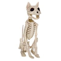 Halloween Sitting Cat Skeleton, 11"