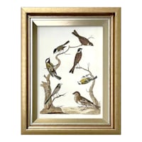 Providence Birds in Nature Table Sign, 7x9