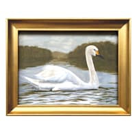 Providence Framed Tundra Swan, 10x8