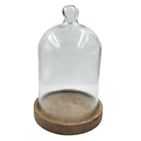 Honeybloom Glass Dome with Wood Base, 10.5"