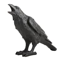 Midnight Shadows Black Raven Decor, 16"