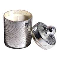 Peppercorn Pimento Scented Jar Candle, 13oz