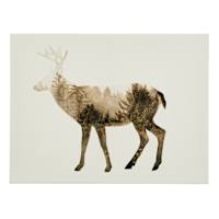 Ty Pennington The Wilderness IV Canvas Wall Art, 16x12