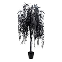 Southern Gothic Black Willow Tree in Pot, 60"