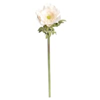 Willow Crossley White Anemone Floral Stem, 17"