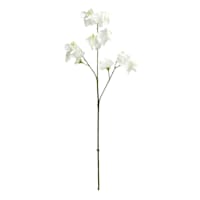 Willow Crossley White Real Feel Pea Flower Spray, 23.6"