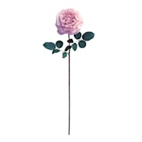 Willow Crossley Pink Real Feel Rose Floral Stem, 25.6"