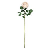 Willow Crossley Soft Pink Real Touch Rose Floral Stem, 25.6"