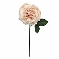 Willow Crossley Ivory & Pink Real Touch Rose Floral Pick, 12"