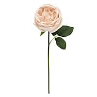 Willow Crossley Soft Pink Real Touch Rose Pick, 12"