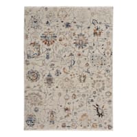 (B888) Honeyboom Hayden Paisley Multicolor Area Rug, 5x7