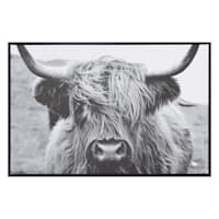 Ty Pennington Framed Highland Cow Canvas Wall Art, 24x16