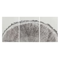 Ty Pennington 3-Piece Tree Rings Wooden Wall Art, 24x48