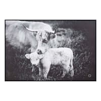 Ty Pennington Framed Cows Canvas Wall Art, 36x24