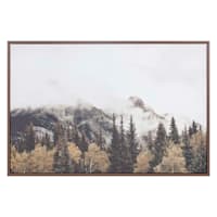Ty Pennington Framed Snow Mountain Canvas Wall Art, 26x24