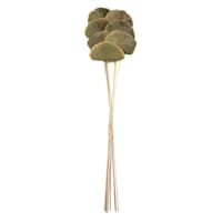 Dried Mushroom on Stem, 28"