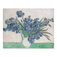Irises in Vase Canvas Wall Art, 11x14