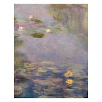 Nymphaea's Canvas Wall Art, 11x14