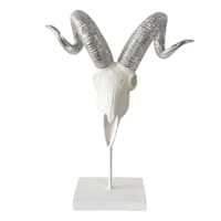 Found & Fable White Antelope Skull Head Decor, 14"