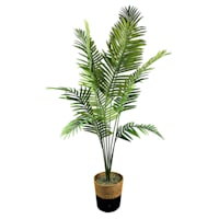 Palm Plant in Decorative Basket, 6'