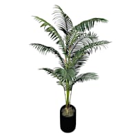 Dark Green Palm Plant in Black Slant Pot, 5'