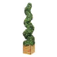 Spiral Topiary in Wooden Vessel, 42"