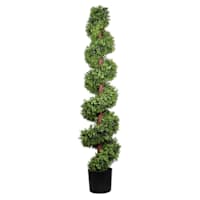 Spiral Topiary in Black Pot, 60"