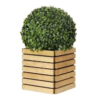16In Boxwood Wood Vessel