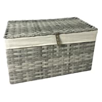 Storage Trunk M Grey